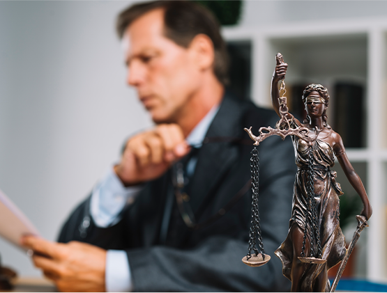 Lawyer 2